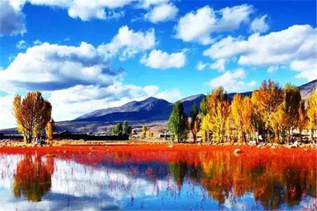 雙凱智能：說走就走旅行？有TA更輕松
